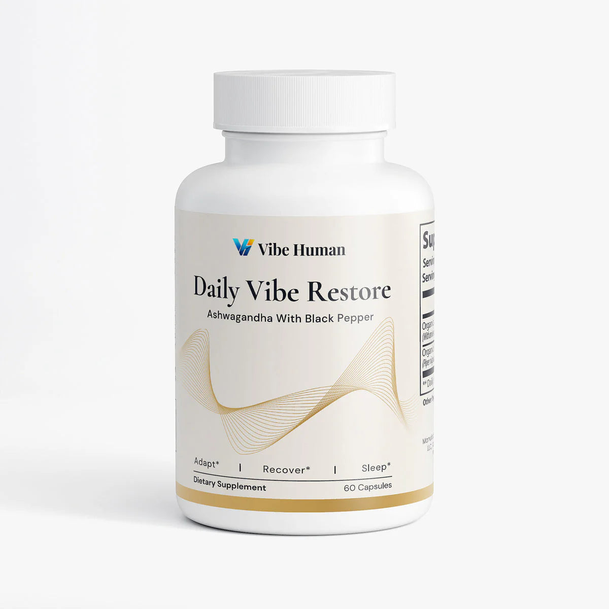 Complete Vibe Protocol