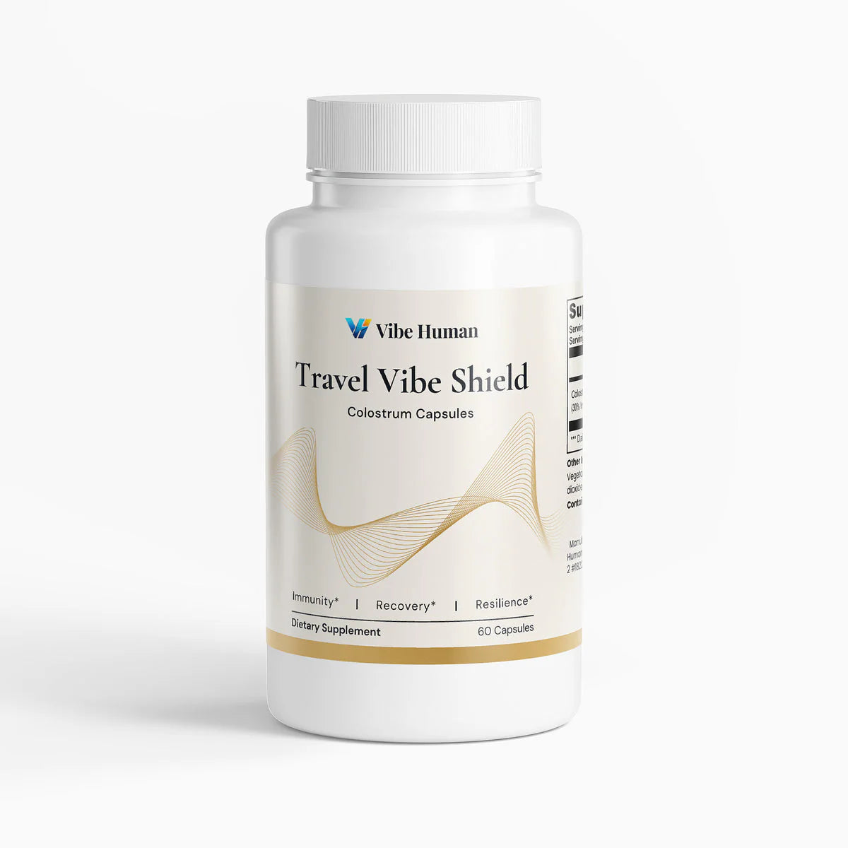 Complete Vibe Protocol