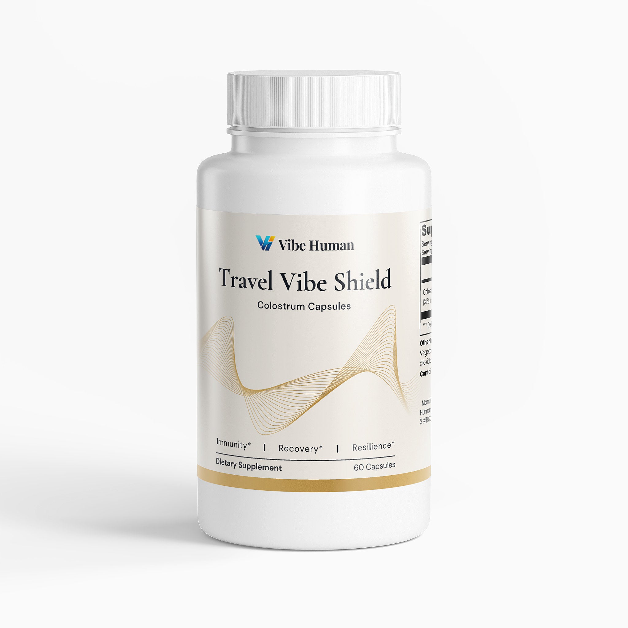 Travel Vibe Shield