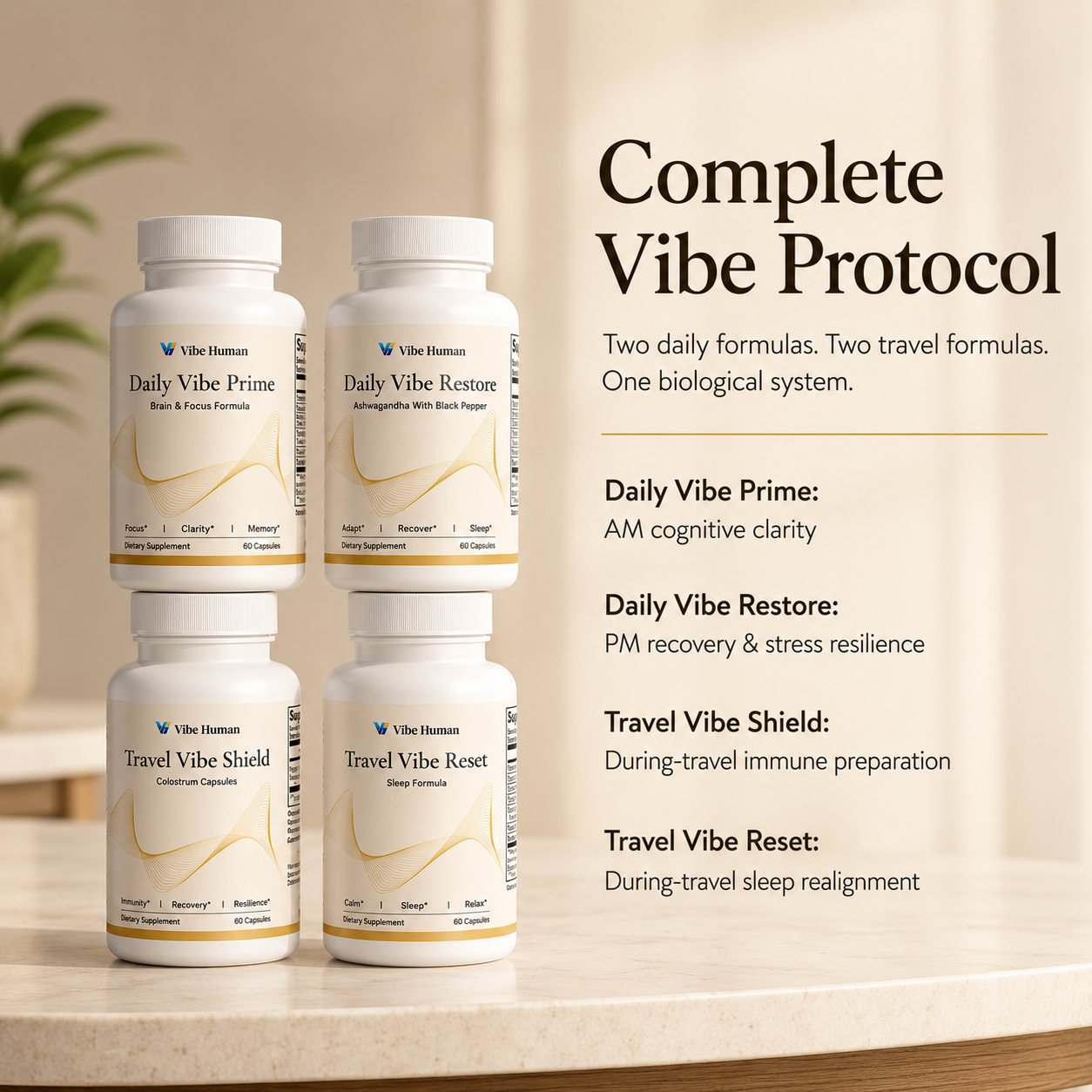 Complete Vibe Protocol